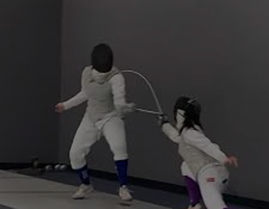 Fencing